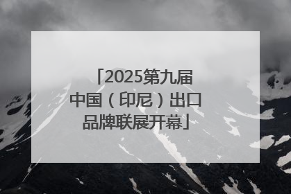 2025第九届中国（印尼）出口品牌联展开幕
