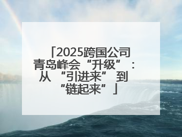 2025跨国公司青岛峰会“升级”：从 “引进来” 到 “链起来”