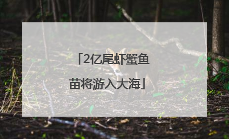 2亿尾虾蟹鱼苗将游入大海