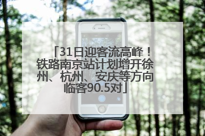 31日迎客流高峰！铁路南京站计划增开徐州、杭州、安庆等方向临客90.5对