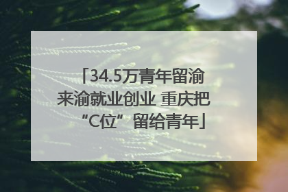 34.5万青年留渝来渝就业创业 重庆把“C位”留给青年