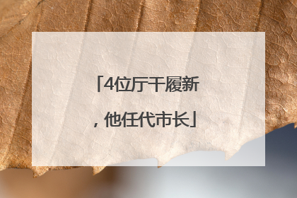 4位厅干履新，他任代市长