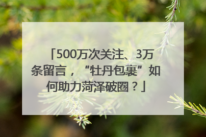 500万次关注、3万条留言，“牡丹包裹”如何助力菏泽破圈？