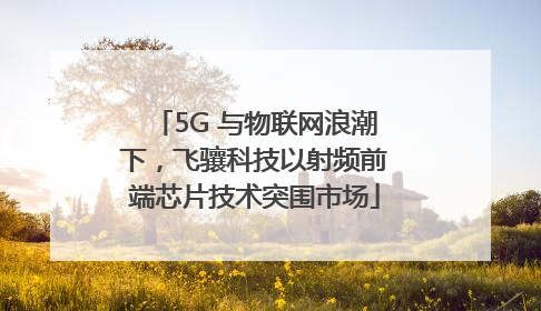 5G 与物联网浪潮下，飞骧科技以射频前端芯片技术突围市场