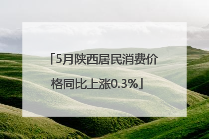 5月陕西居民消费价格同比上涨0.3%