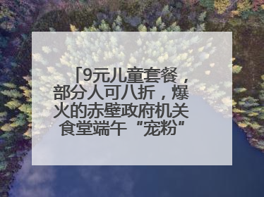 9元儿童套餐，部分人可八折，爆火的赤壁政府机关食堂端午“宠粉” 再升级
