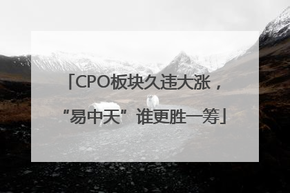 CPO板块久违大涨，“易中天”谁更胜一筹