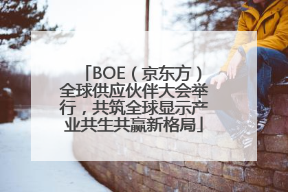 BOE（京东方）全球供应伙伴大会举行，共筑全球显示产业共生共赢新格局