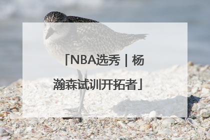 NBA选秀｜杨瀚森试训开拓者