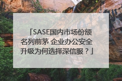 SASE国内市场份额名列前茅 企业办公安全升级为何选择深信服？